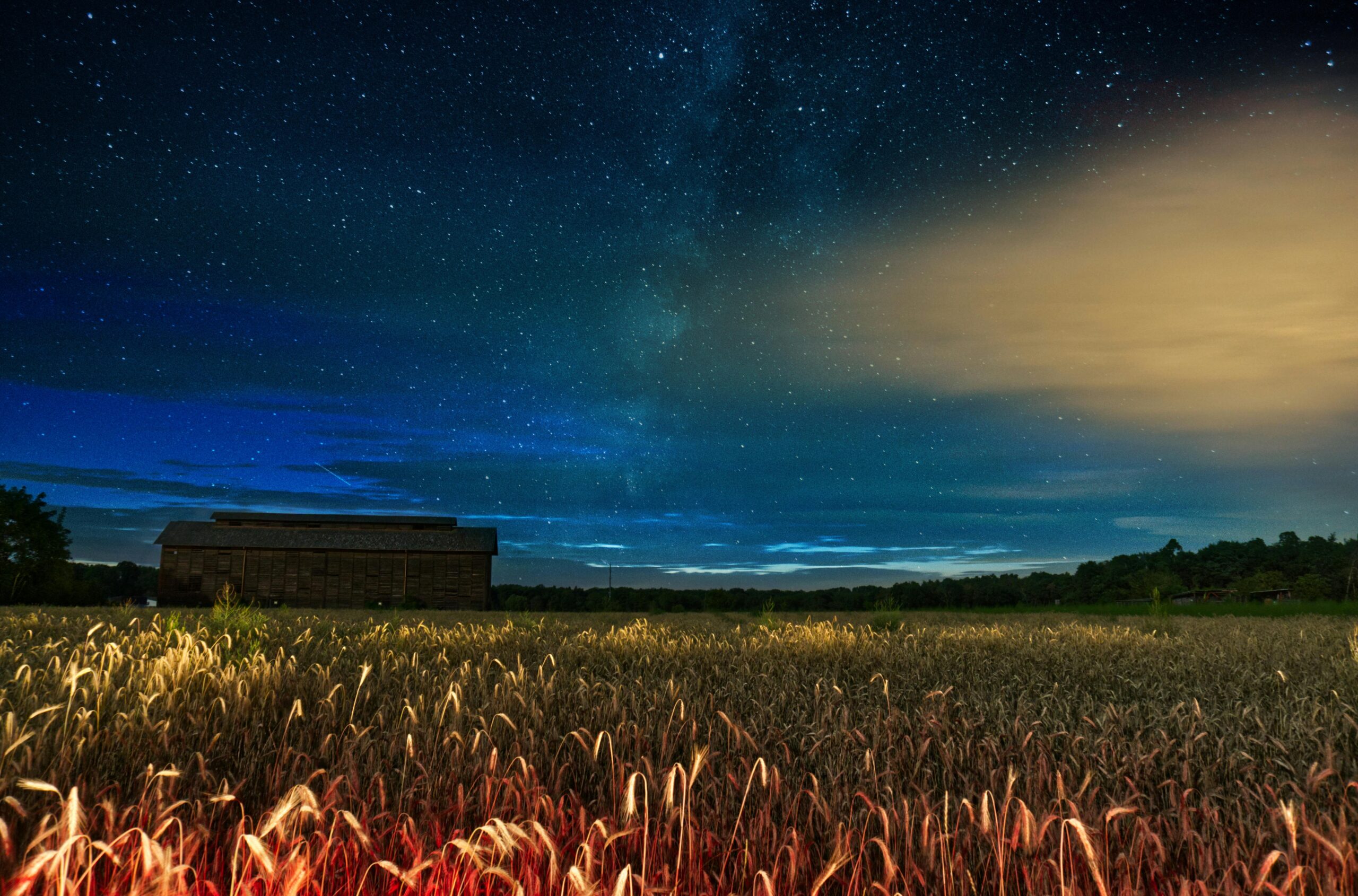 A stunning starry night sky over a peaceful wheat field and barn. Perfect for nature lovers.