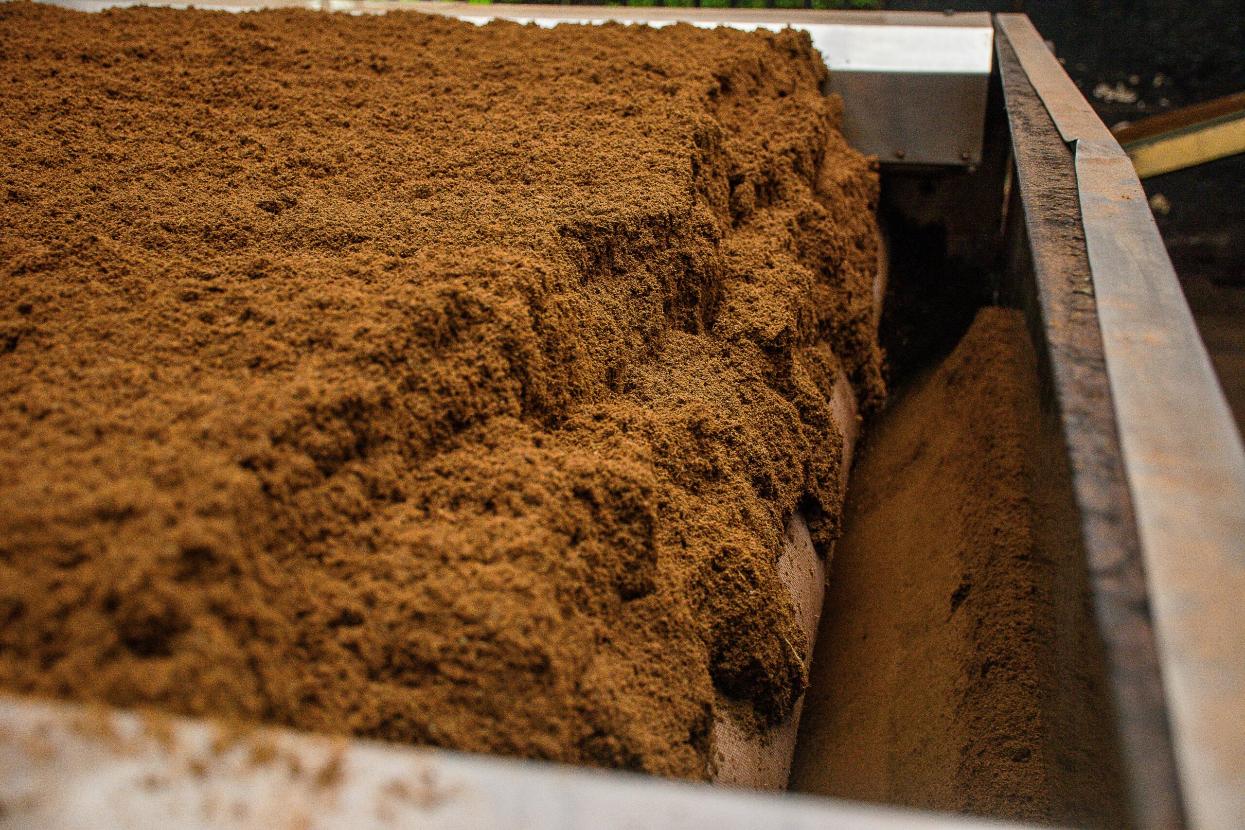 Detailed view of brown soil on an industrial conveyor belt inside a processing facility.
